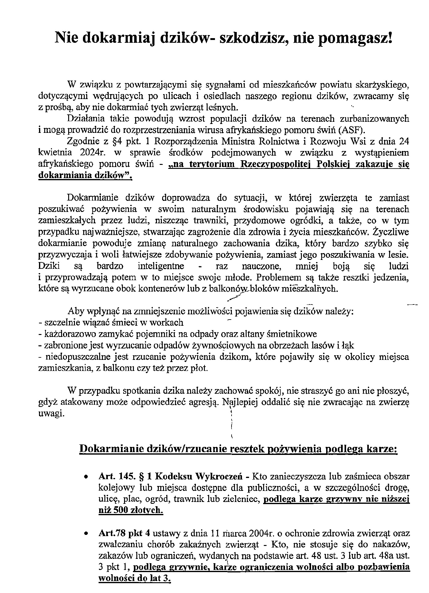 dziki