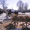 ZESPÓŁ SORBIN PROMUJE GMINĘ BLIŻYN