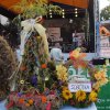 DOŻYNKI POWIATOWE 2011