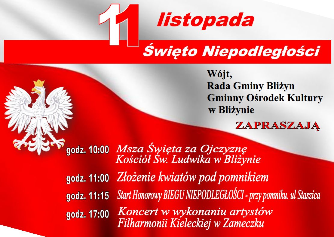 11listopadpoprawka