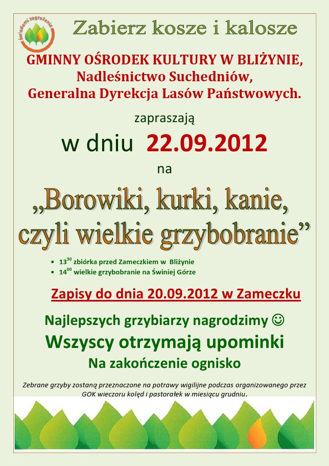 grzyby